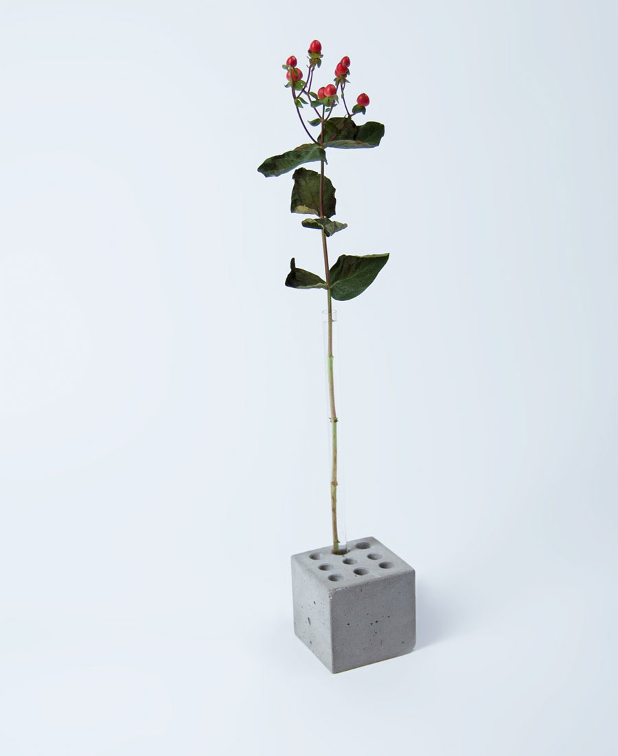 Planta